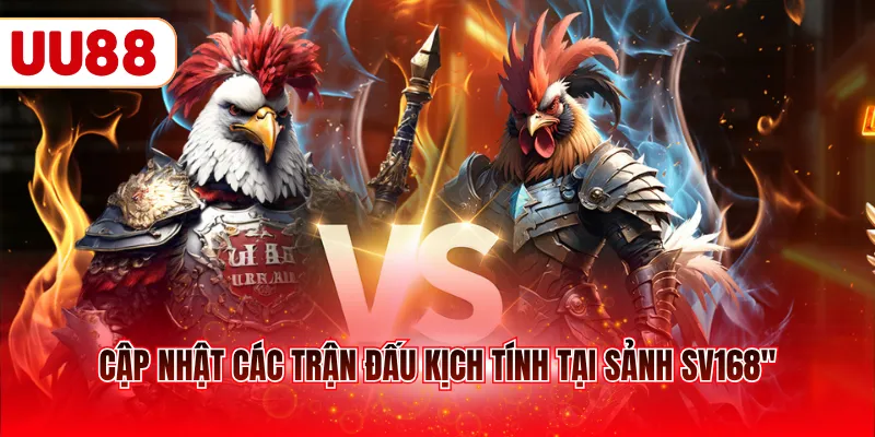 Cập nhật các trận đấu kịch tính tại sảnh SV168