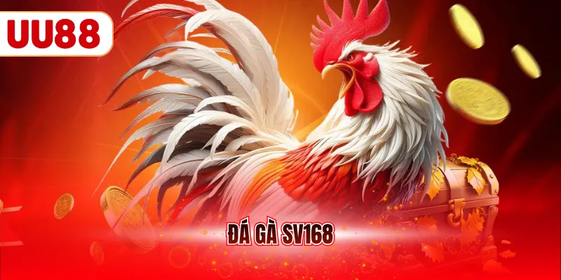 Đá gà sv168