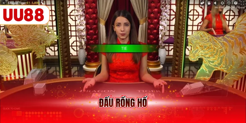Đấu rồng hổ
