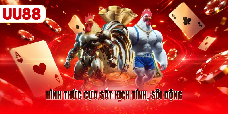 Hình thức cựa sắt kịch tính, sôi động