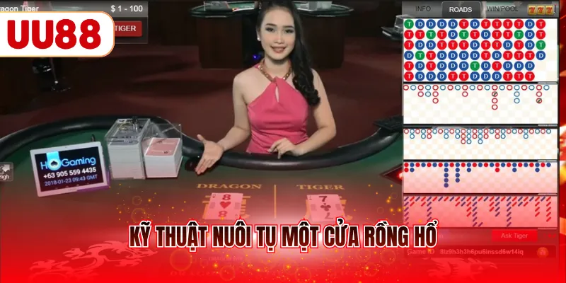 Kỹ thuật nuôi tụ một cửa rồng hổ