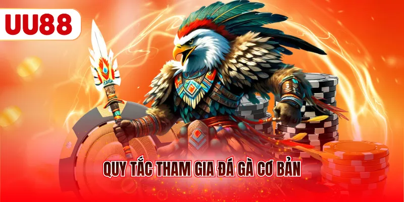Quy tắc tham gia đá gà cơ bản