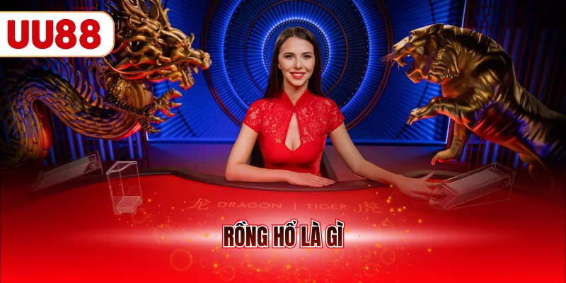 Rồng Hổ là gì