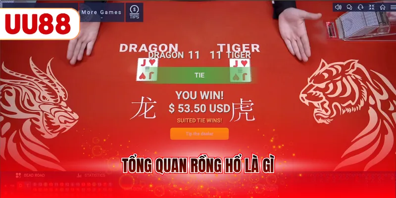 Tổng quan Rồng Hổ là gì